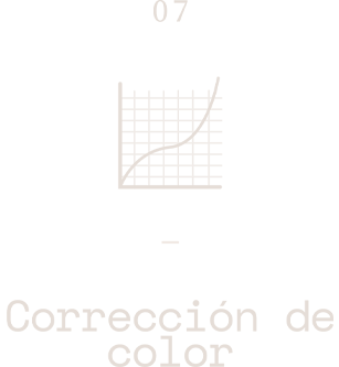 icon-correccion-v2